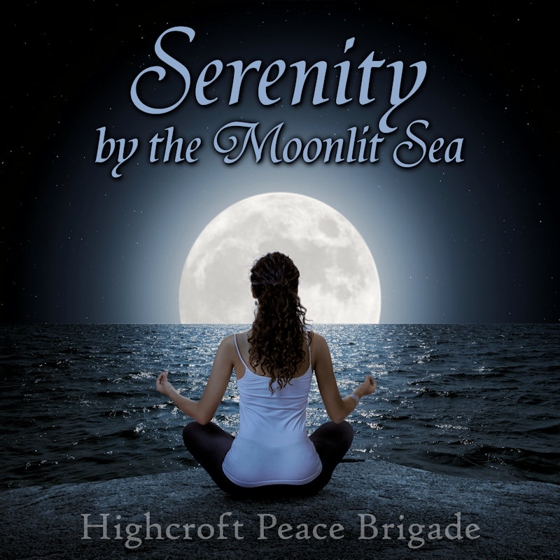 Highcroft Peace Brigade Cover Art Example